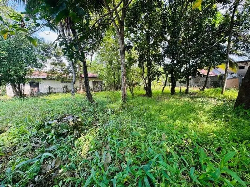 26 Perch Land Sale Rathanapitiya