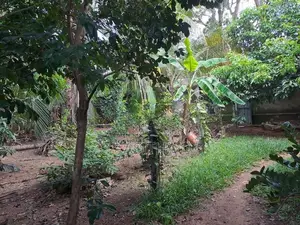 Land For Sale in Madiwela