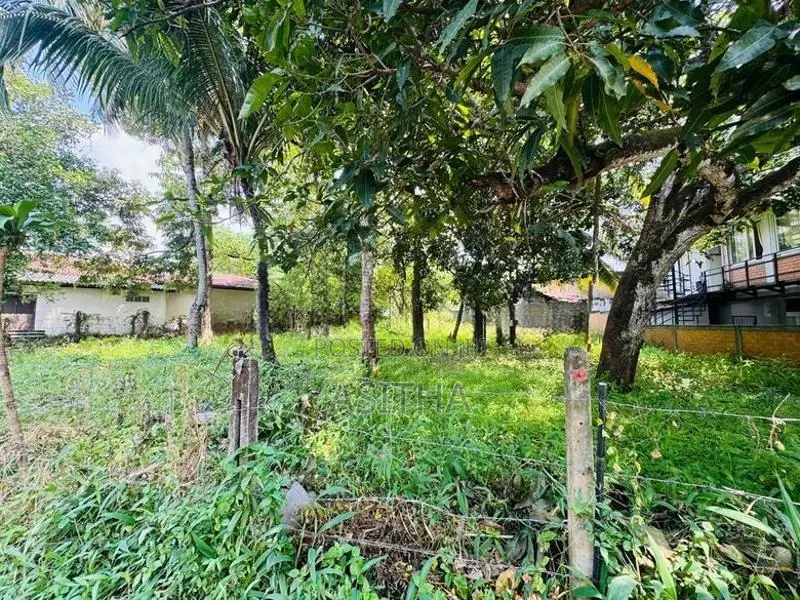 26 Perch Land Sale Rathanapitiya