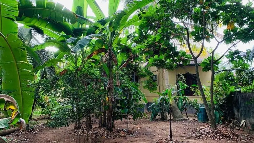 Land For Sale in Madiwela