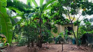 Land For Sale in Madiwela
