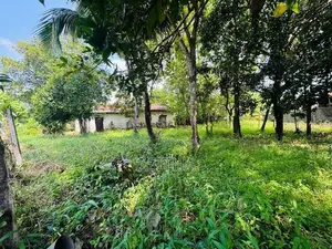 26 Perch Land Sale Rathanapitiya