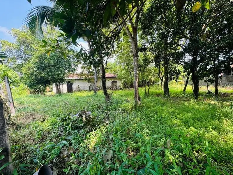 26 Perch Land Sale Rathanapitiya