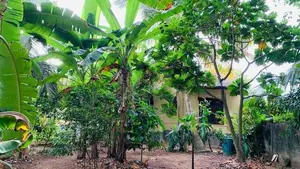 Land For Sale in Madiwela