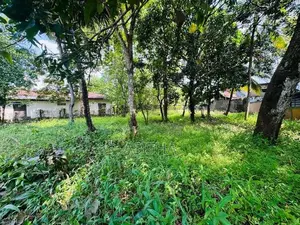 26 Perch Land Sale Rathanapitiya