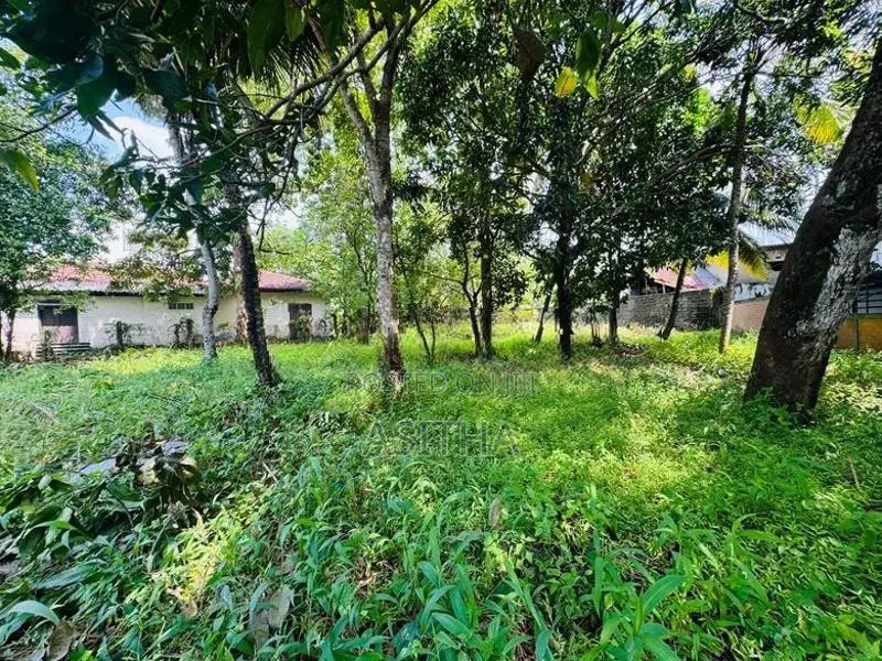 26 Perch Land Sale Rathanapitiya