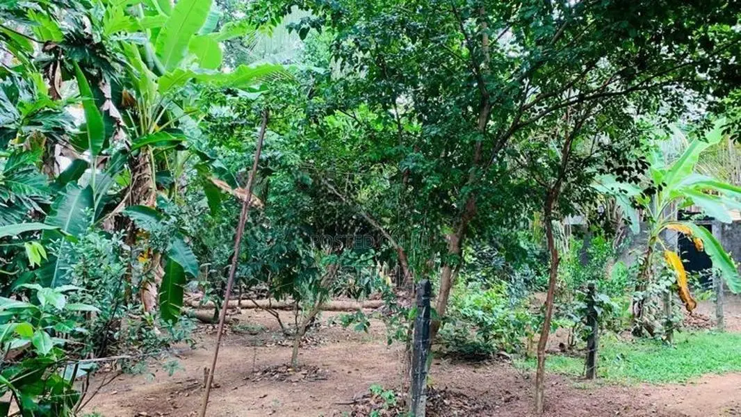 Land For Sale in Madiwela