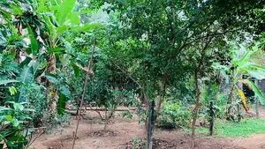 Land For Sale in Madiwela