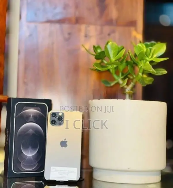 Apple iPhone 12 Pro 256GB (Used)