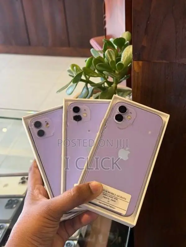 Apple iPhone 12 128GB (Used)