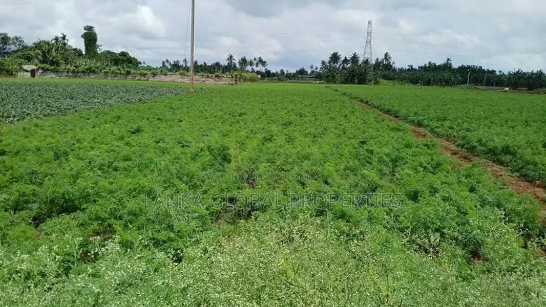 Land for Sale Chunnakam