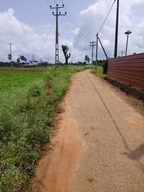 Land for Sale Chunnakam