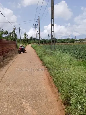 Land for Sale Chunnakam