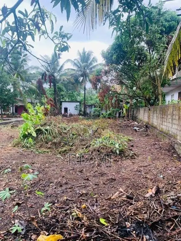 17 Perches Land for Sale in Nittambuwa Kalalpitiya
