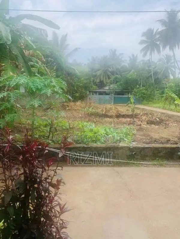 17 Perches Land for Sale in Nittambuwa Kalalpitiya