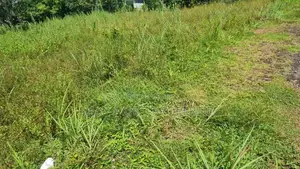 Land for Sale in Nawala