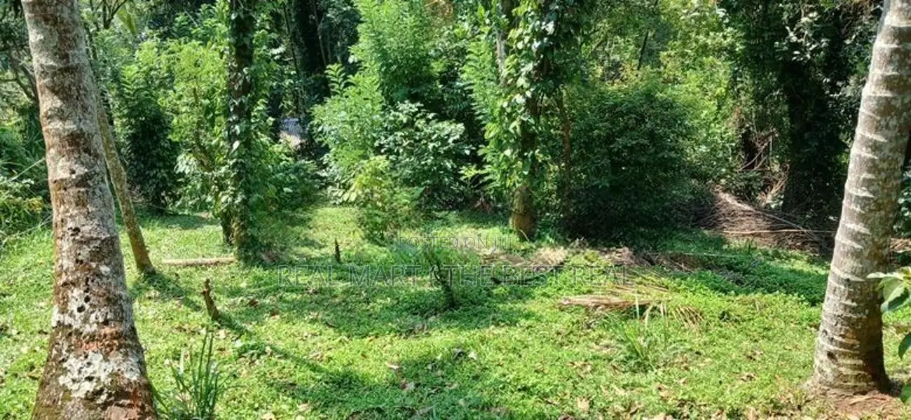 Kandy : 19.2 perches Land for Sale at Anniwatte