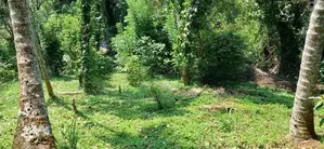 Kandy : 19.2 perches Land for Sale at Anniwatte