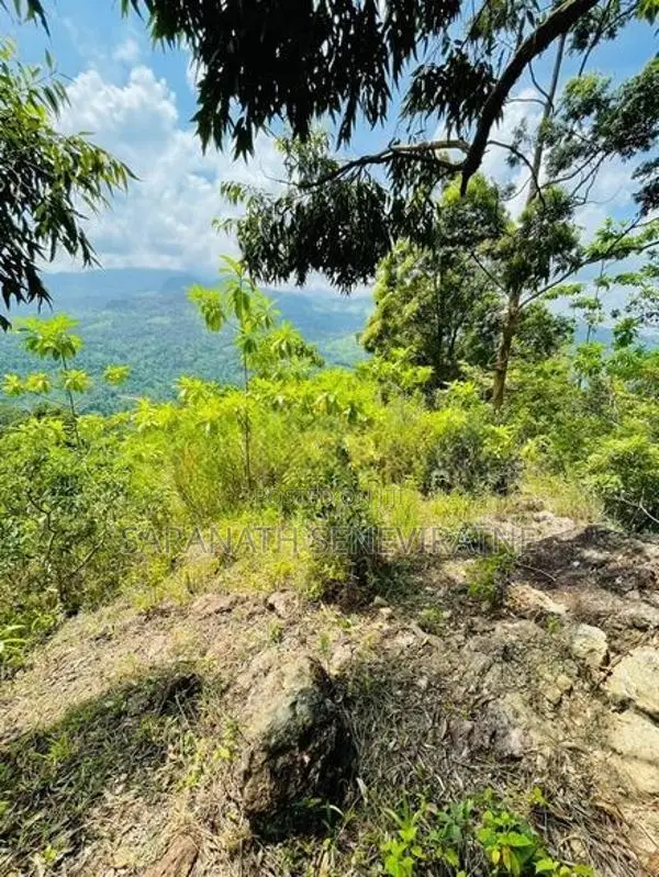 4 Acres Land in Kandy Bordering Knuckles Mountain Range