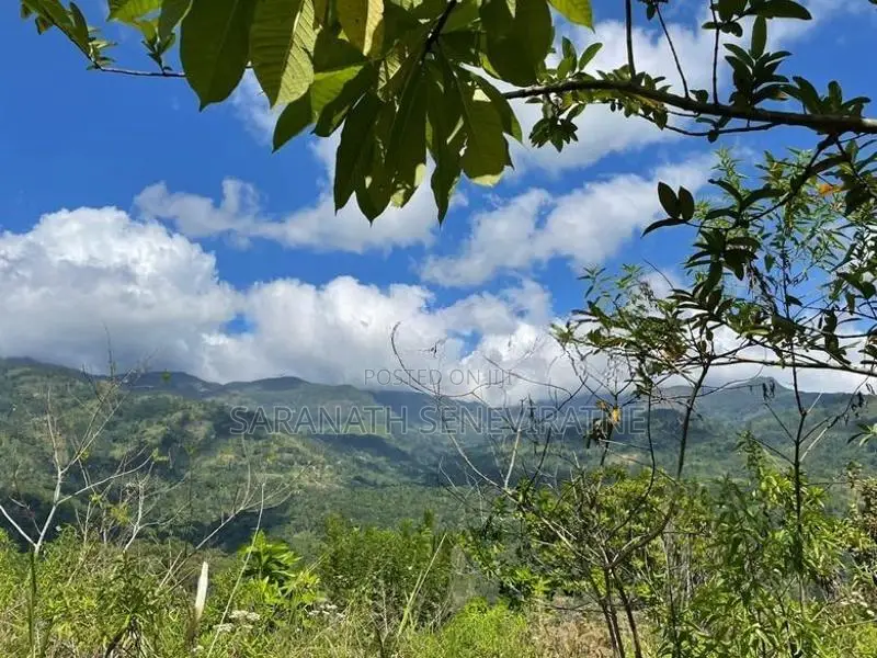 4 Acres Land in Kandy Bordering Knuckles Mountain Range