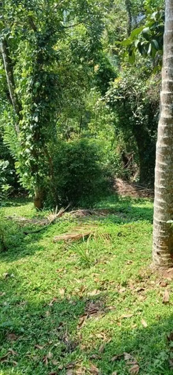 Kandy : 19.2 perches Land for Sale at Anniwatte