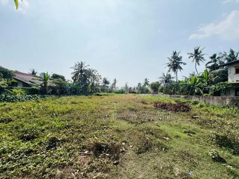(AFA948) 131 P LAND AT Panadura