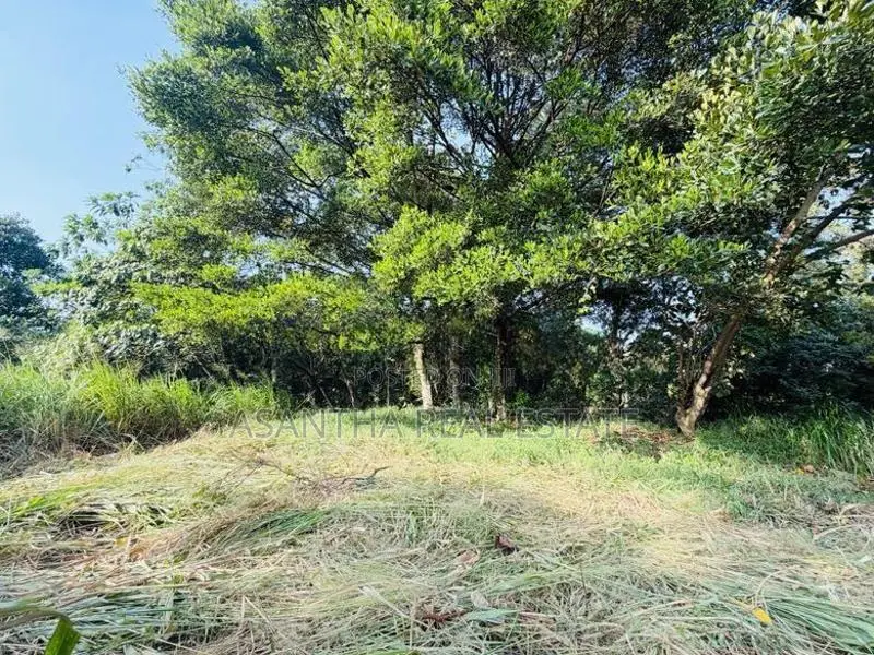 (AFA977) 13.7P Residential Land Malabe
