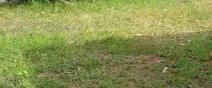 Godagama : 10 perches Land for Sale at Batawala