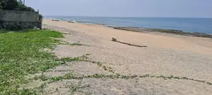 Matara : 189 perches Beach front Land for Sale
