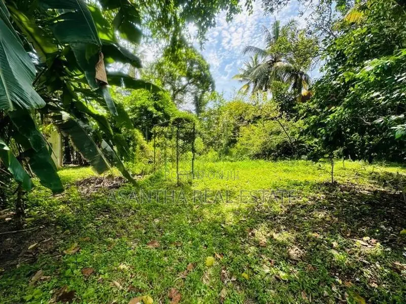 (AFA12) 20 P Bare Land Sale At Werasekera Road Thalawathugoda