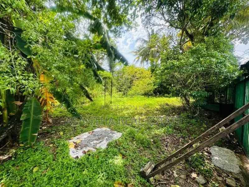 (AFA12) 20 P Bare Land Sale At Werasekera Road Thalawathugoda