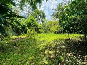 (AFA12) 20 P Bare Land Sale At Werasekera Road Thalawathugoda
