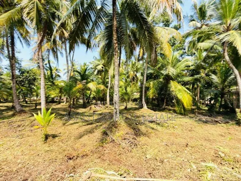 (AF692) 58 P LAND AT 200 M Galle Road Wadduwa Kaluthara