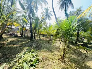 (AF692) 58 P LAND AT 200 M Galle Road Wadduwa Kaluthara