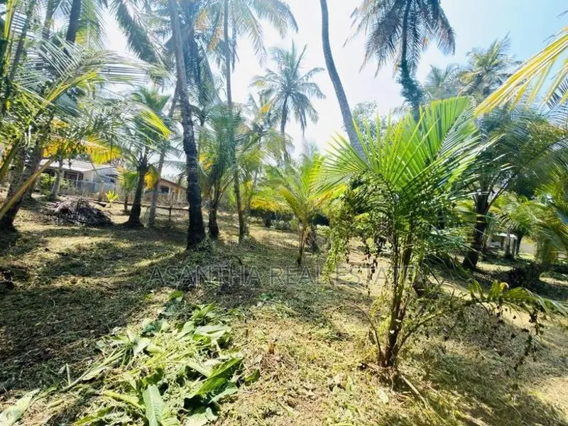 (AF692) 58 P LAND AT 200 M Galle Road Wadduwa Kaluthara