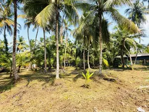 (AF692) 58 P LAND AT 200 M Galle Road Wadduwa Kaluthara