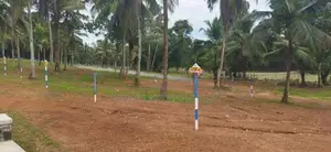 Land For Sale Naiwala