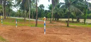 Land For Sale Naiwala