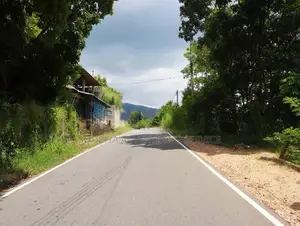 Theldeniya Land for Sale