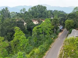 Theldeniya Land for Sale