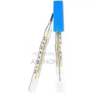 Mercury Thermometer