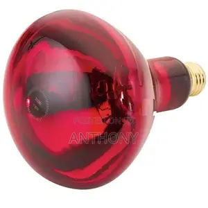Infra Red Bulb “Philip”