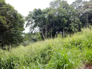 Angunawala Land for Sale
