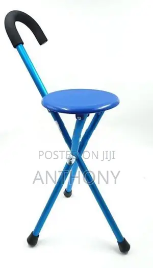 Walking Stick with Seat