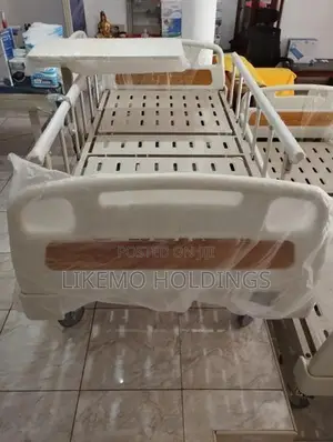 Patient Four Function Electric Hospital Beds