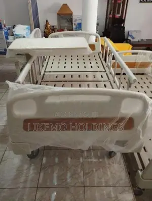 Patient Four Function Electric Hospital Beds
