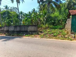 කාපට් පාරෙන් දෙවෙනි ඉඩම උඩුගම්පල