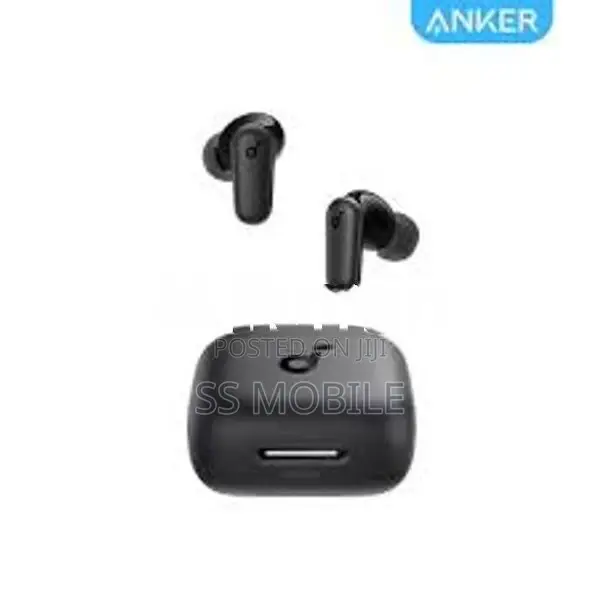Anker Soundcore P30i Earbuds
