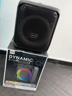 Brodu Bts-1739 Bluetooth Karaoke Speaker
