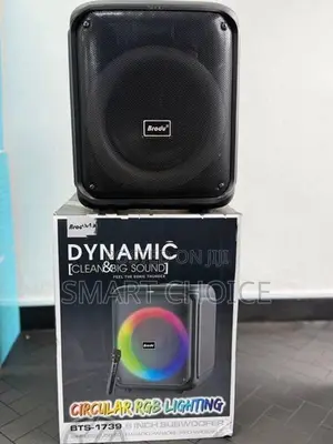 Brodu Bts-1739 Bluetooth Karaoke Speaker